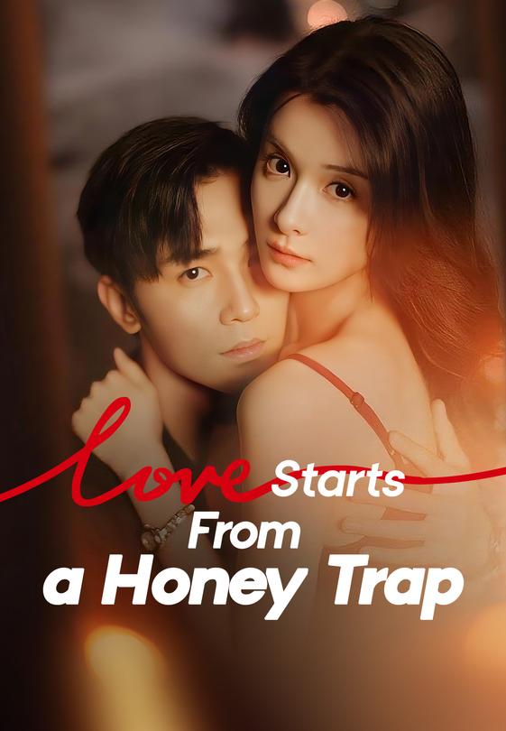 Love Starts From a Honey Trap