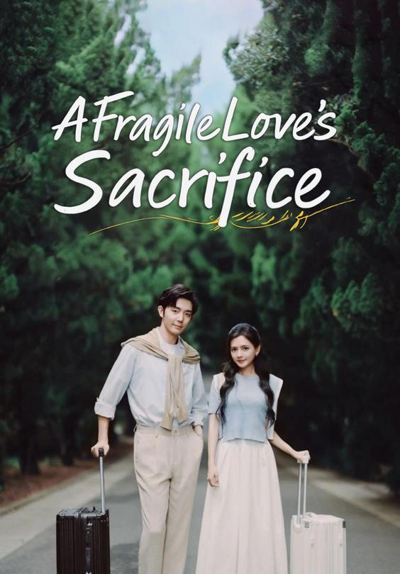 A Fragile Love's Sacrifice