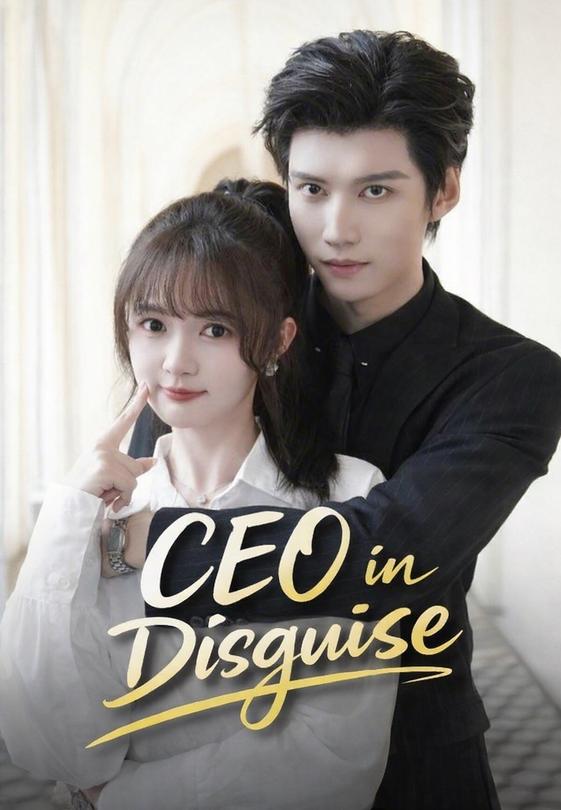 CEO in Disguise