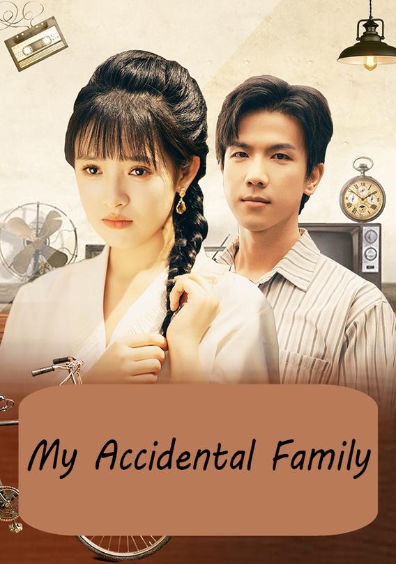 My Accidental Family