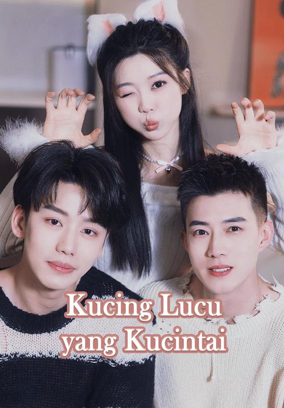 Kucing Lucu yang Kucintai