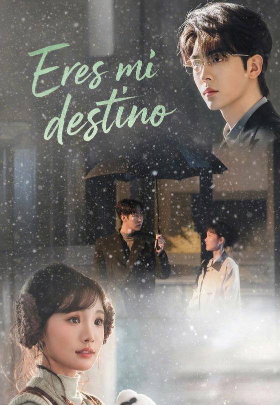 Eres mi destino