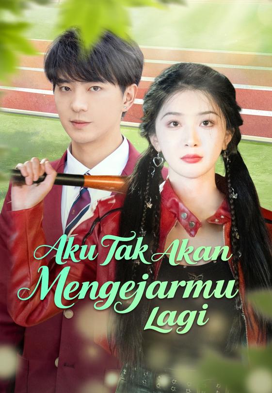 Aku Tak Akan Mengejarmu Lagi