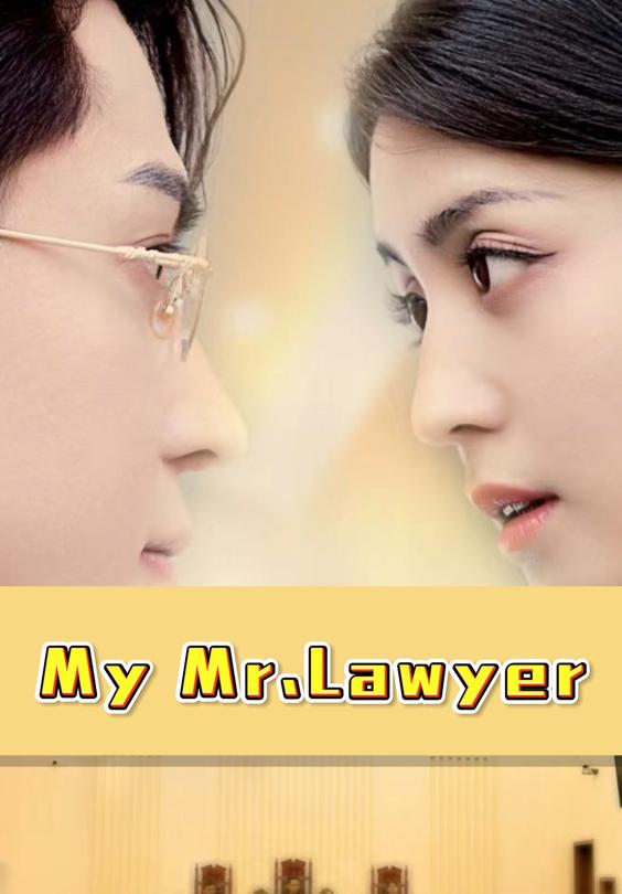 My Mr.Lawyer